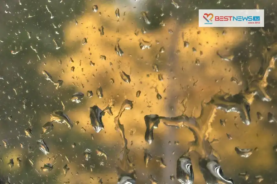 В Астане на выходных похолодает: погода на три дня 