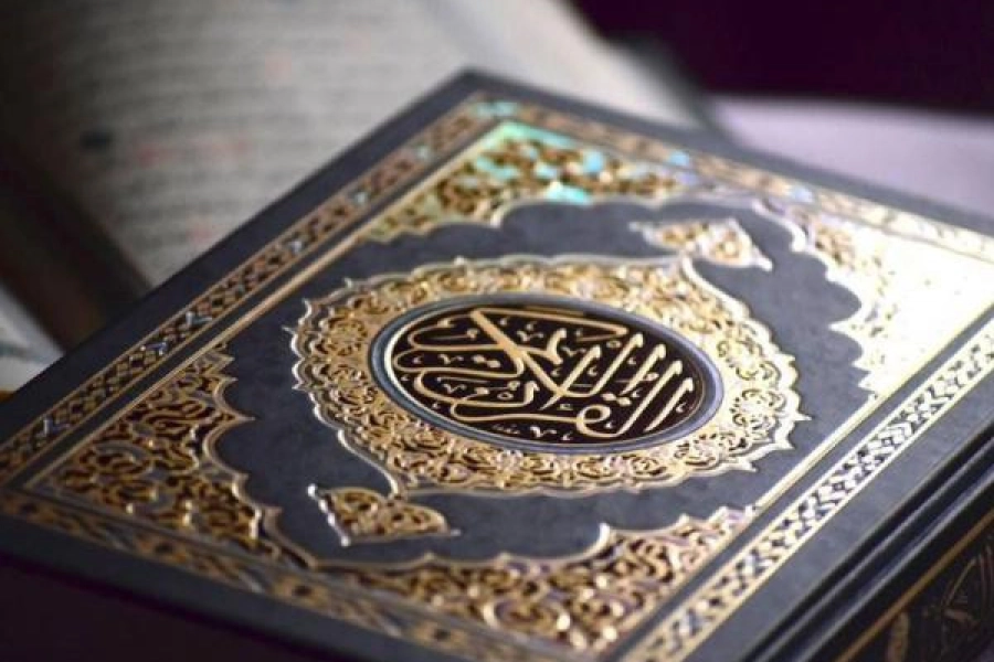 Саудовская Аравия потребовала от Дании не допускать акций с сожжением Корана 