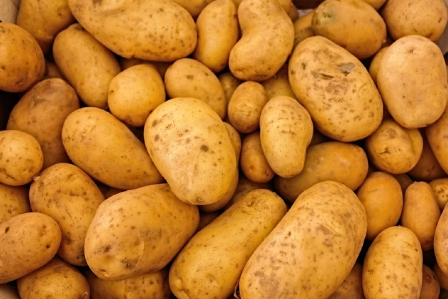 Казахстану хватит собственного урожая картофеля - министр Сапаров 