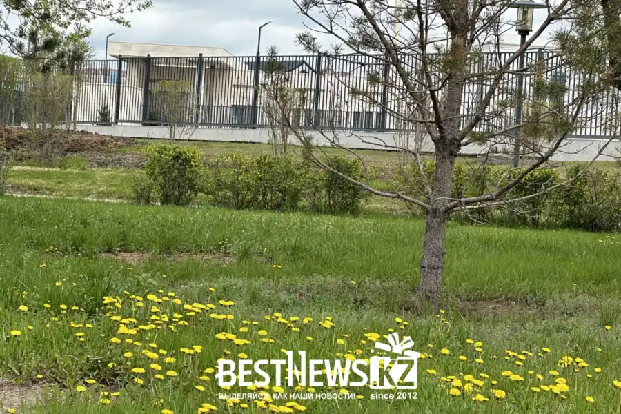 Без осадков и сильная пожара ожидается по Казахстану 11 июня 