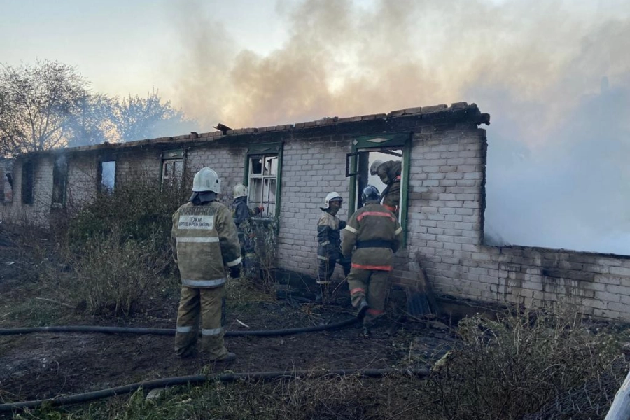 В Костанайской области пожары в трех районах, огонь попал на территорию Курганской области - фото, видео 