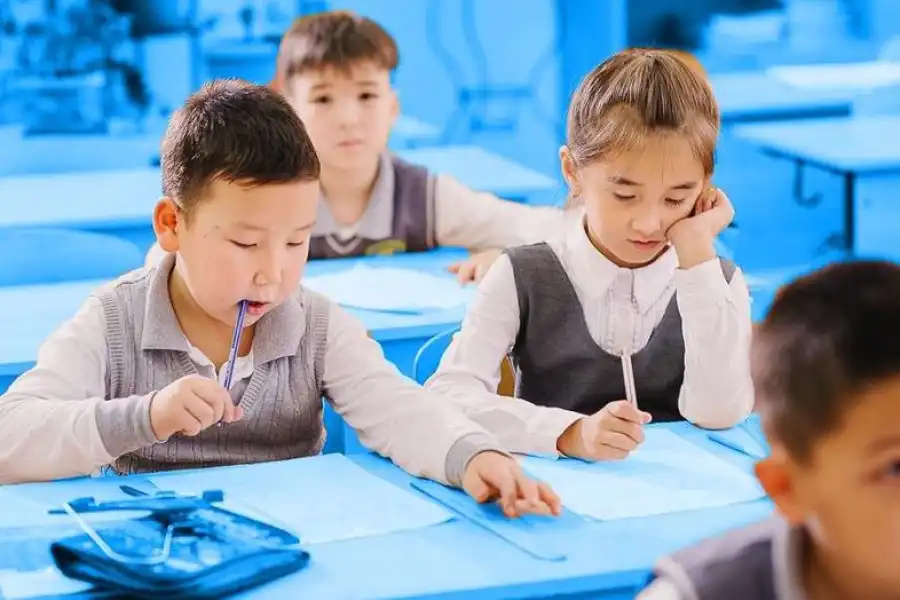   «Не стоит обсуждать»: завершитcя ли в Казахстане досрочно учебный год  