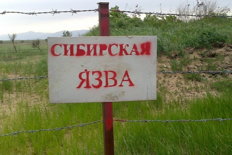 «В каждом регионе есть 3-4 захоронения с сибирской язвой» – министр Сапаров 