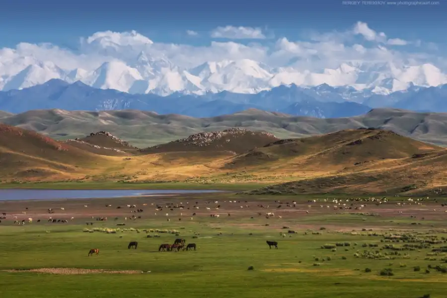 Местами ветер, туман: погода по Казахстану на 21 октября 