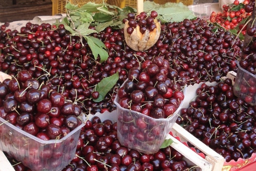 Почему в Казахстане на прилавках только импортные овощи и фрукты – ответ главы МСХ РК 