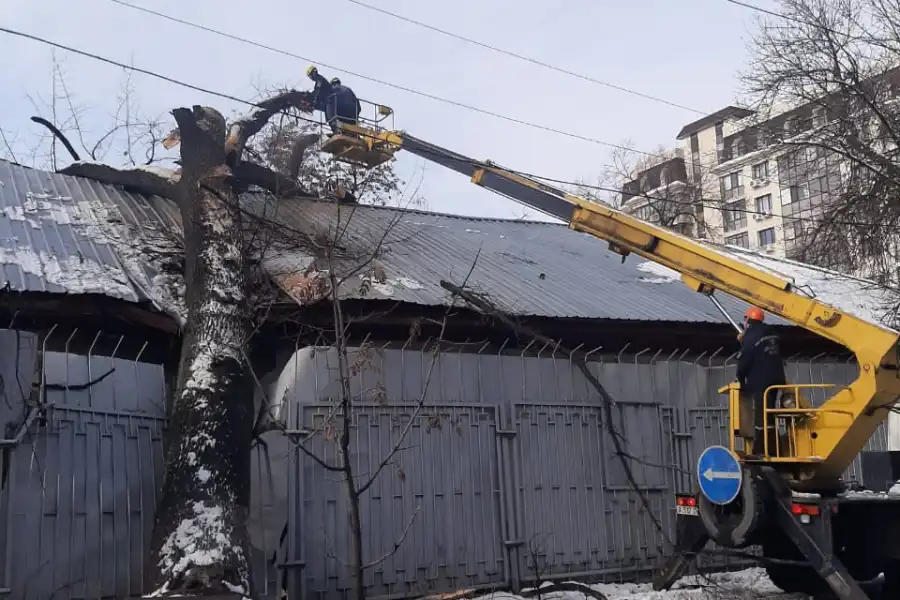 В Алматы после снегопада деревья упали на авто и заборы 