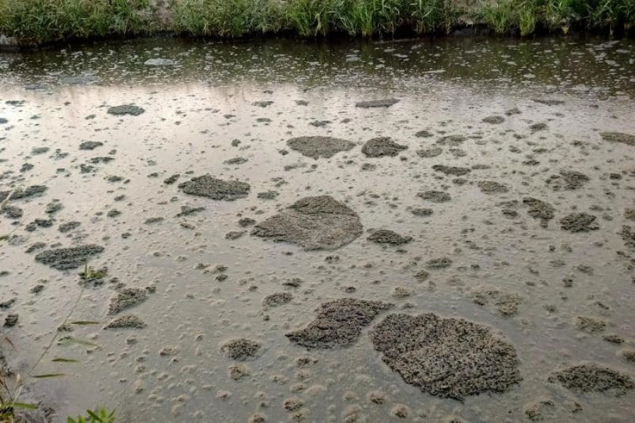 Минэкологии: в Атырау сбрасывали сточную воду с большим количеством нефтепродуктов 