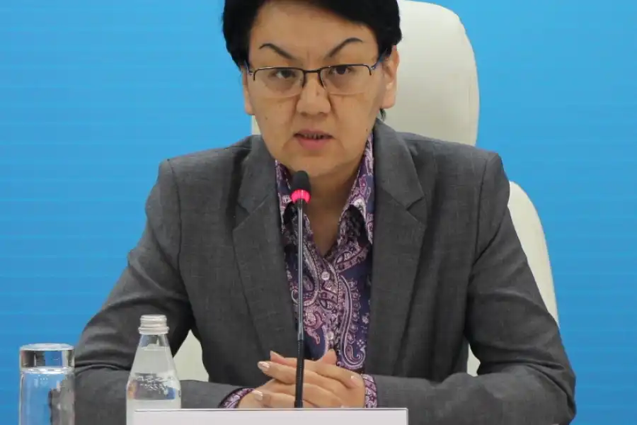 После скандала с плагиатом вице-министра образования Жакыпову переведут на другую должность 