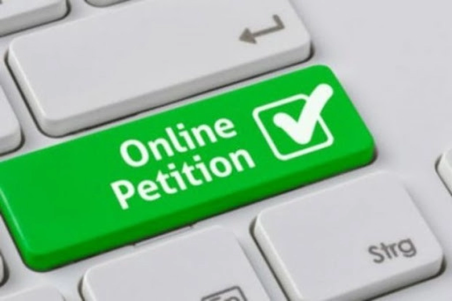 Мажилис одобрил законопроект, разрешающий онлайн-петиции только на специальной платформе 