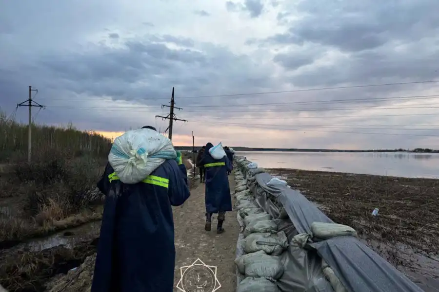 В селе Тепличное укрепляют дамбу 