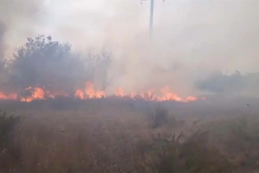 Жителей Карагандинской области призвали не паниковать из-за степных пожаров - видео 