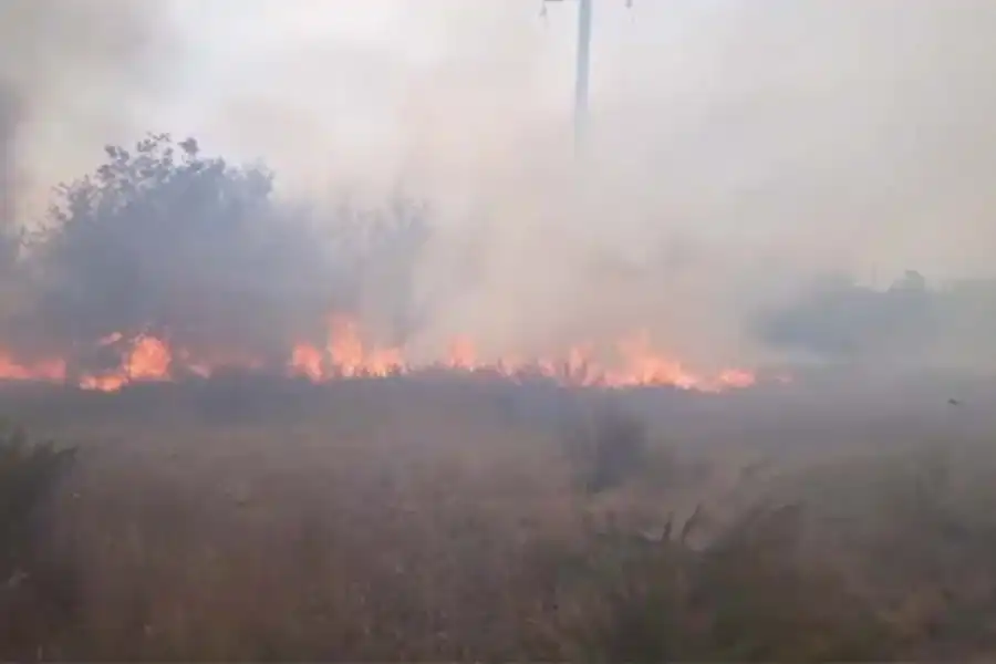Жителей Карагандинской области призвали не паниковать из-за степных пожаров - видео 