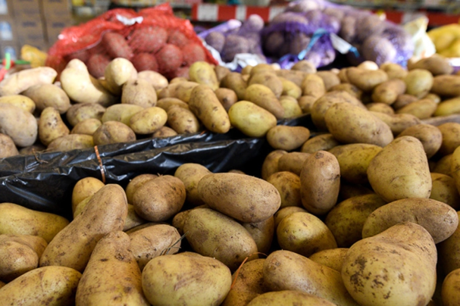 «В стабфондах регионов запасы картофеля практически отсутствуют» - Султанов 