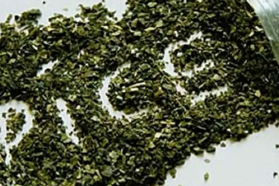 «Изготавливал спайсы в поселке»: в СКО ликвидирована нарколаборатория по производству синтетических наркотиков 