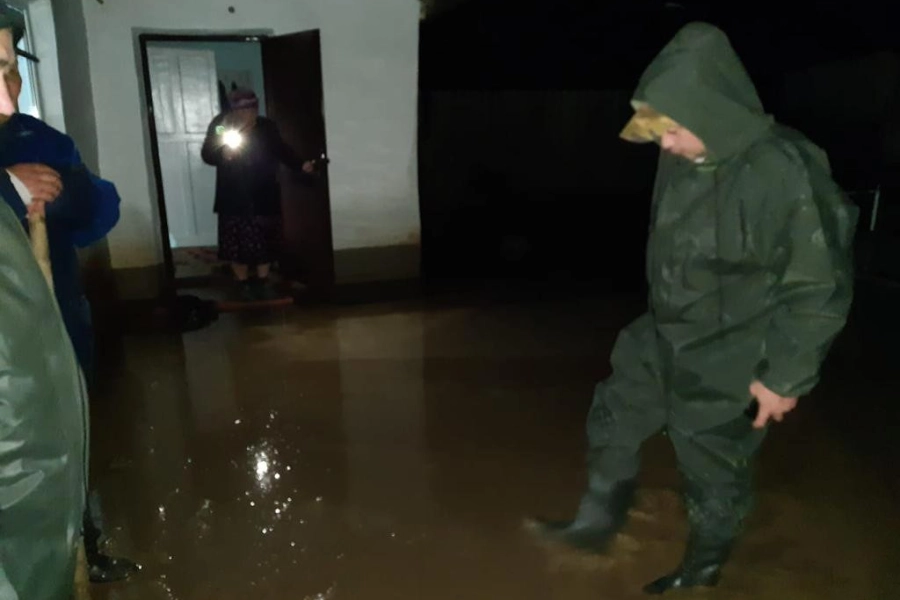 В Туркестанской области после обильных дождей затопило дворы, погиб скот 