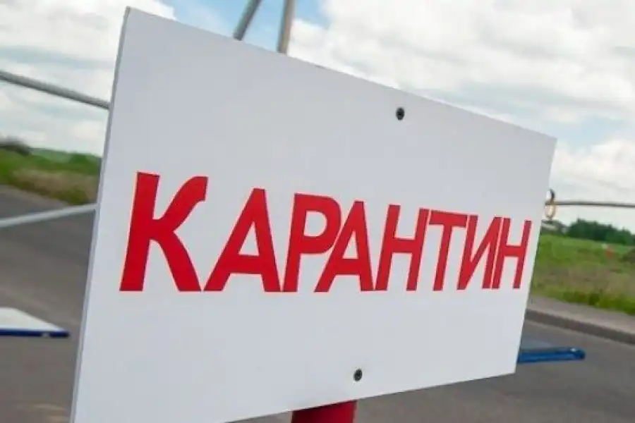 В Алматы и Нур-Султан начал действовать карантин 