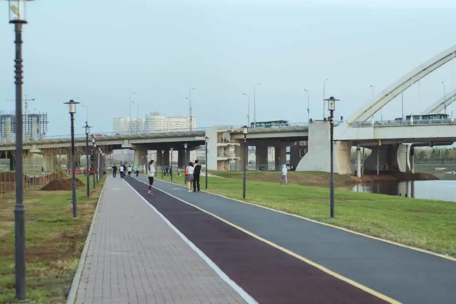 Бакауов ответил, снесут ли в Павлодаре 5000 деревьев для строительства триатлонной базы  