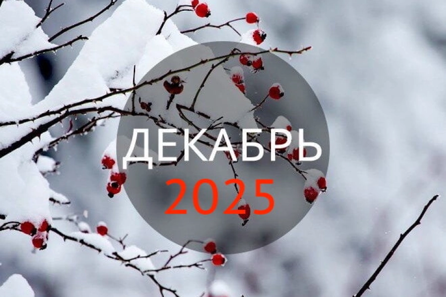 Что изменится в Казахстане в декабре 2025 года 