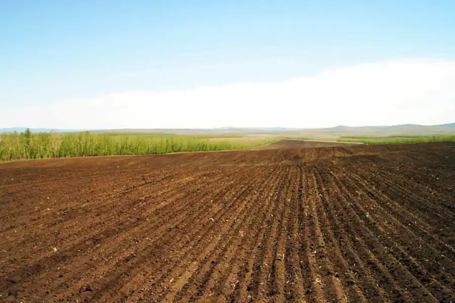 80 тысяч землепользователей: сколько занятой в Казахстане земли и кто ею владеет  