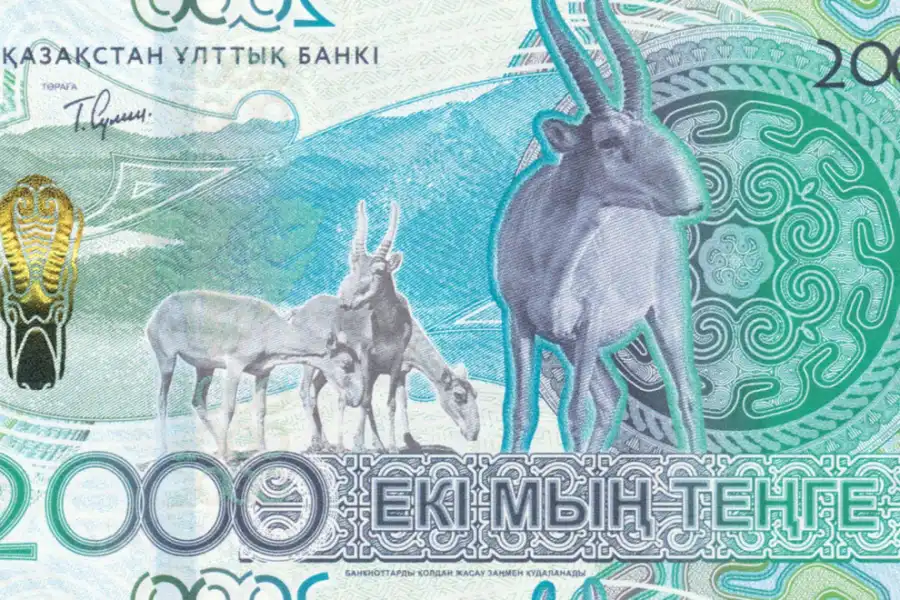 Нацбанк разместил на новых банкнотах тенге изображение отстреливаемых в Казахстане сайгаков 
