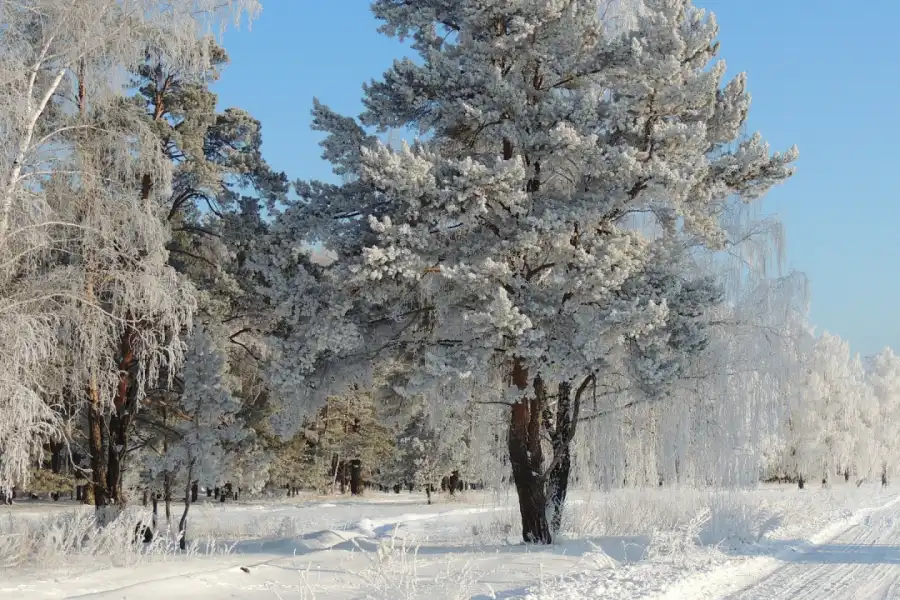 Погода по Казахстану на 12 февраля 