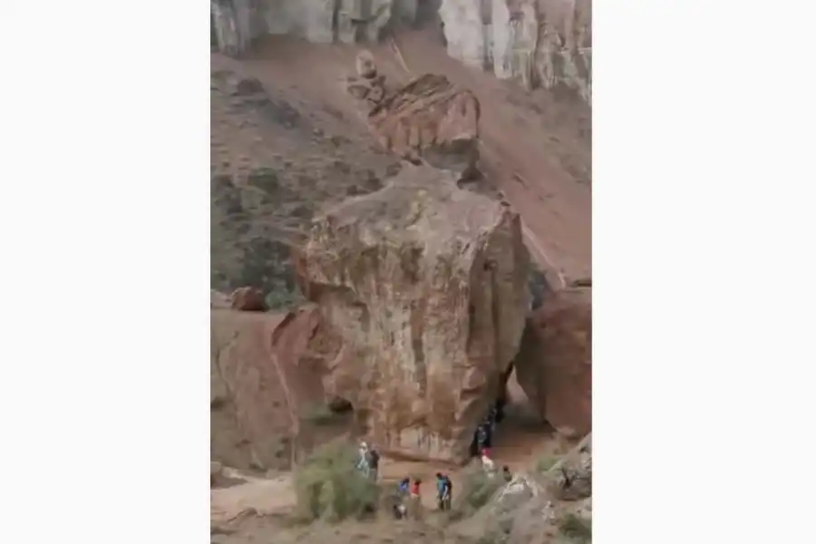 В МОН Казахстана призвали взрослых не рисковать жизнями детей на экскурсиях и отдыхе 