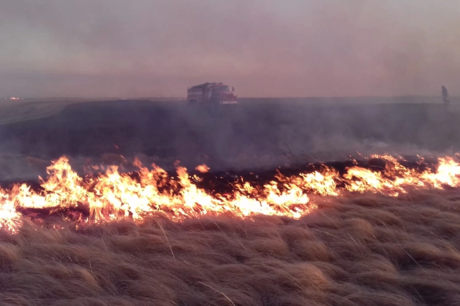 В СКО сгорела 1 тысяча га травы 