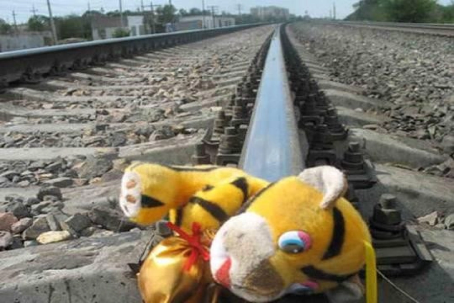 В Жамбылской области двухлетний малыш попал под поезд 