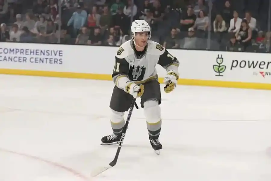 «Барыс» пригласил игрока из системы «Vegas» 