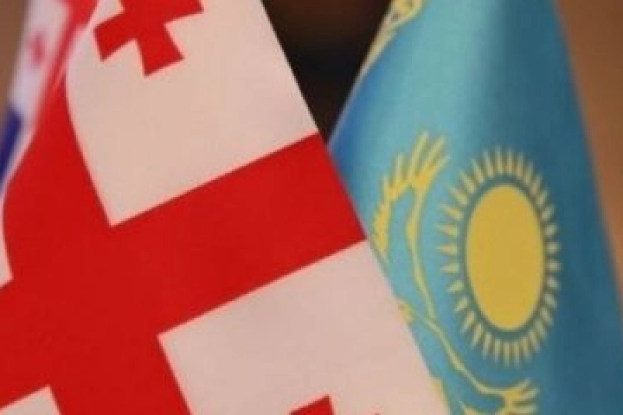 «Казахстан и Грузия могут увеличить товарооборот» - Токаев 