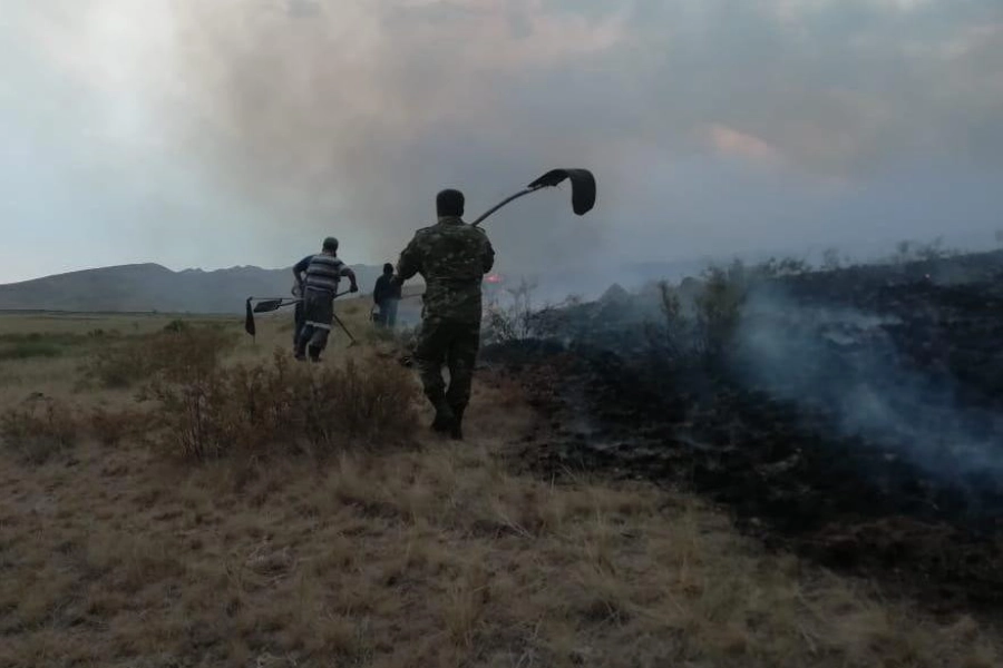 В трех районах Карагандинской области горит степь – объявлен режим ЧС 