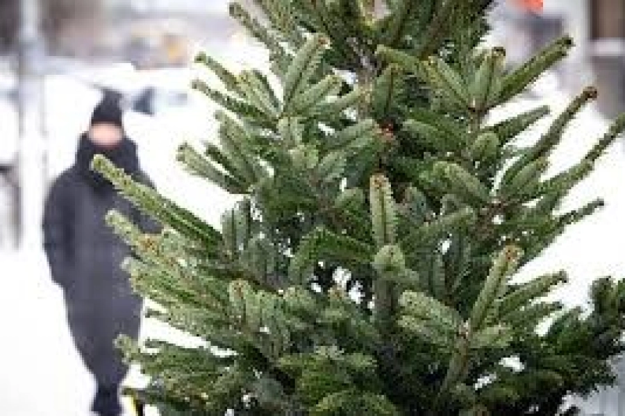 В Астане началось ОПМ «Ель» 