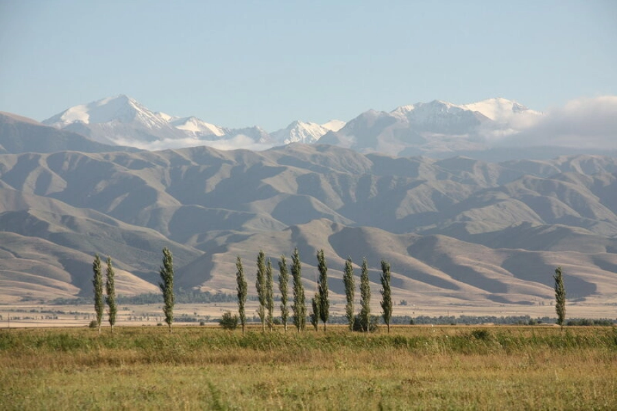 Министр экологии Казахстана ответила на вопросы о Чуйской долине 