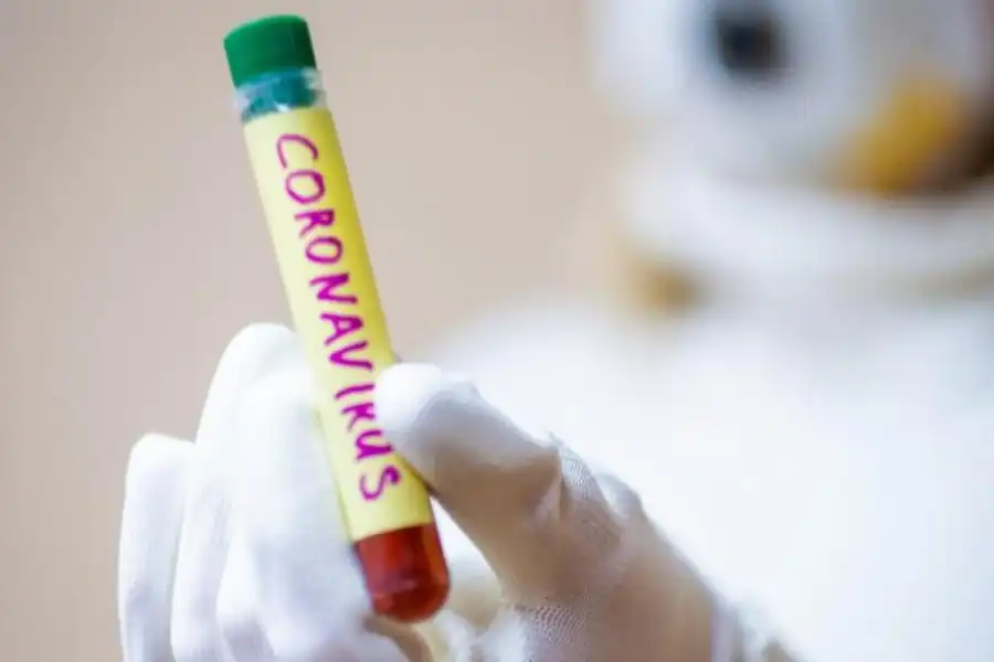 Смерть от COVID19: акмолинка не была за границей, но гостила в Шу и Алматы 