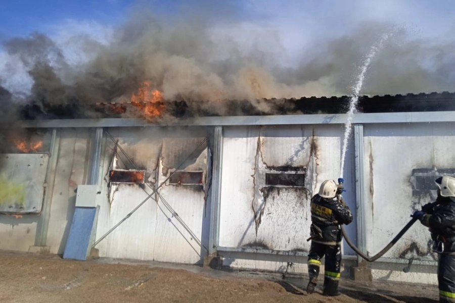 В Макинске пожарные 43 минуты тушили горевшую птицефабрику - фото 