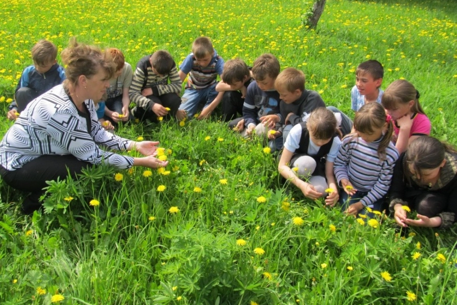 Минэкологии предлагает казахстанцам обсудить будущее эко-образования для детей 