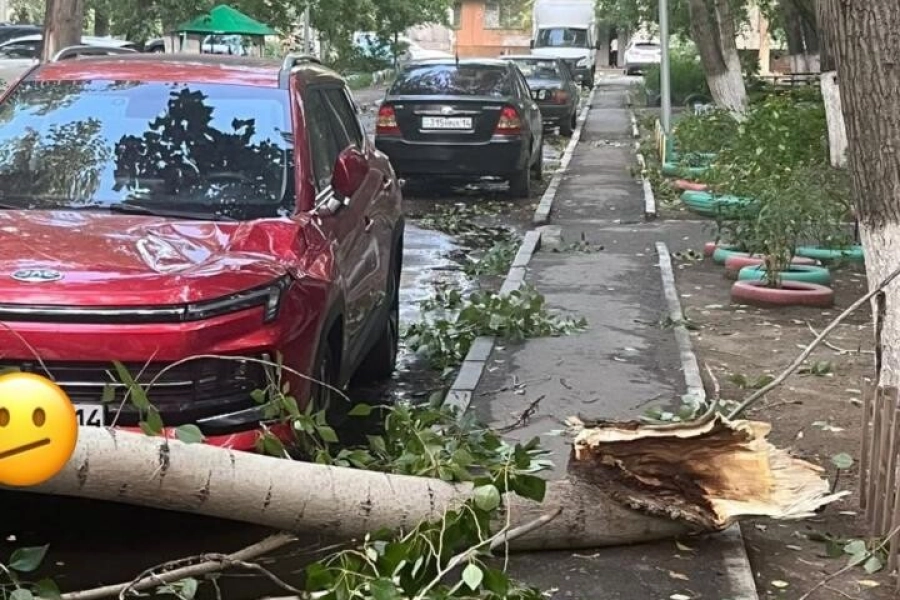 В Аксу дерево проткнуло женщину во время шторма 