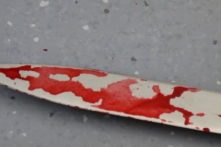 В Костанае мать порезала ножом детей: суд вынес приговор 