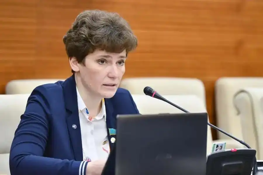 Депутат Смышляева представила законопроект на казахском языке 