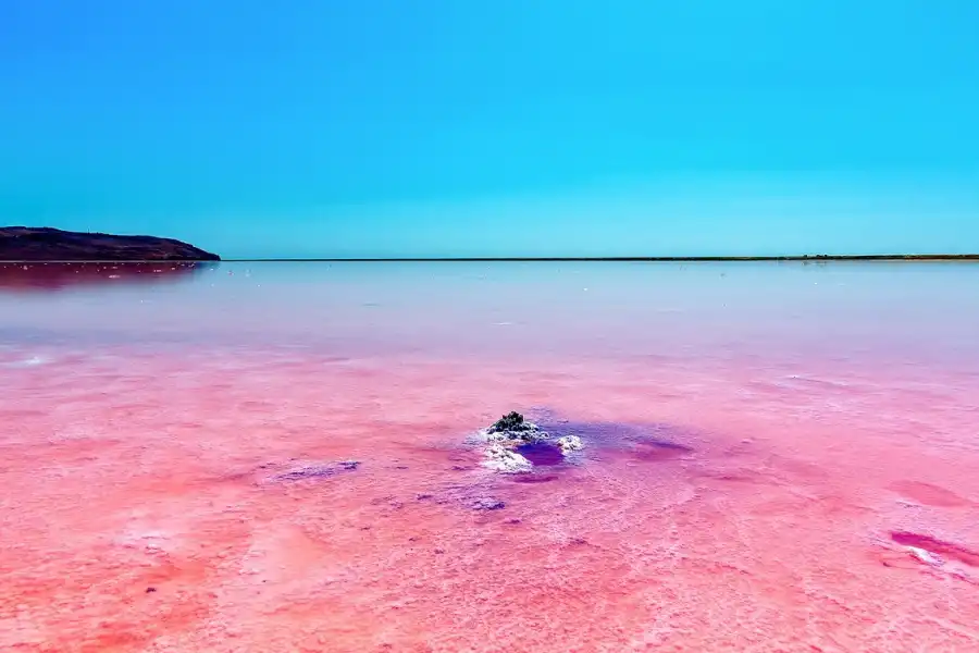 «Розовое» озеро Кобейтуз назвали вредным для людей - Мирзагалиев 