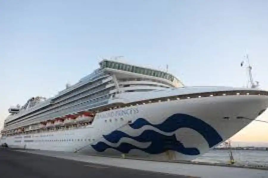 Вернутся ли домой казахстанцы, застрявшие на "Diamond Princess" из-за коронавируса 