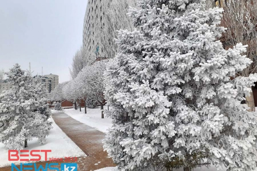 Снег, метель, туман: погода по Казахстану на 7 декабря 