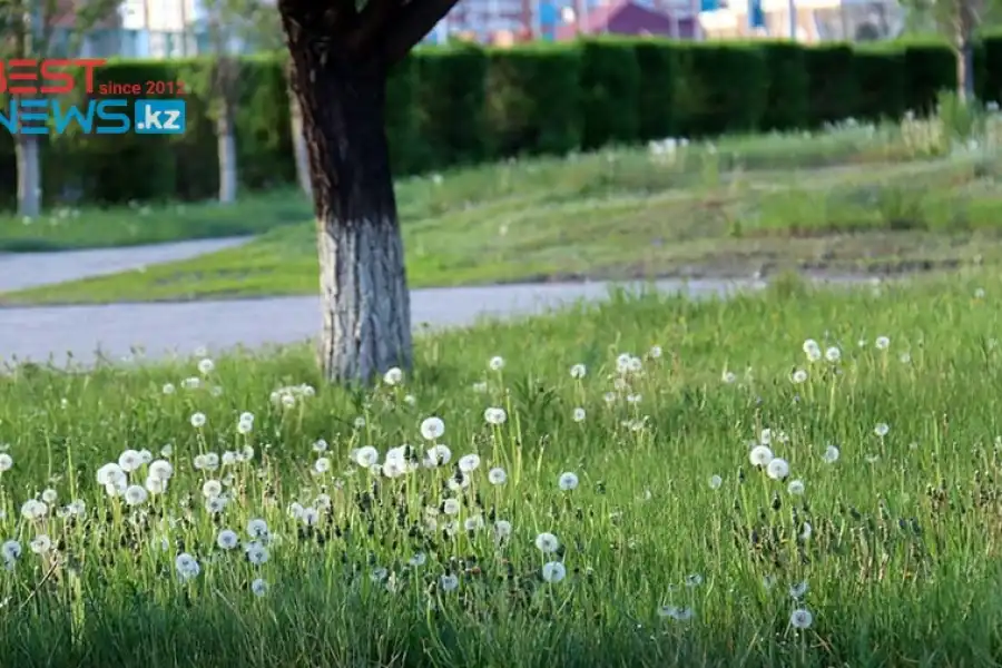Без осадков: погода по Казахстану на 26 мая 