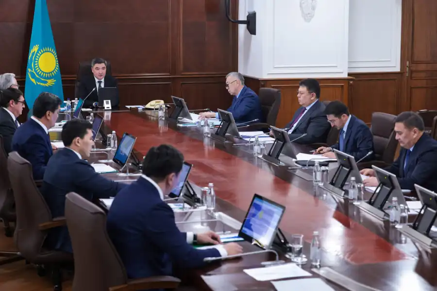 Футбол, закон для детей, тигры, дороги – как в Правительстве будут исполнять поручения Главы государства 