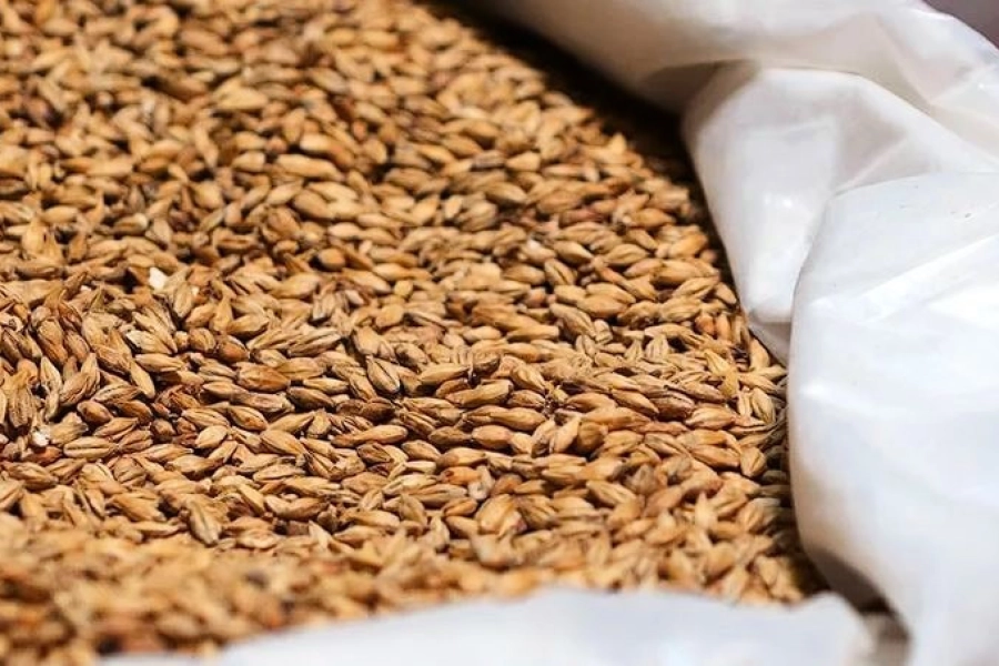 Водитель на «МАЗ» украл 10 тонн пшеницы в СКО 