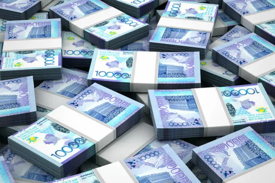 Свыше 13 млрд поступило на счет фонда Birgemiz 