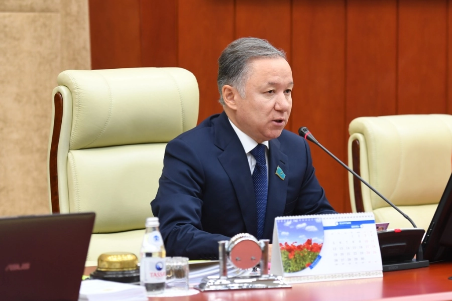 Нигматулин предложил постоянный запрет на ввоз, производство и оборот некурительных изделий в Казахстане 