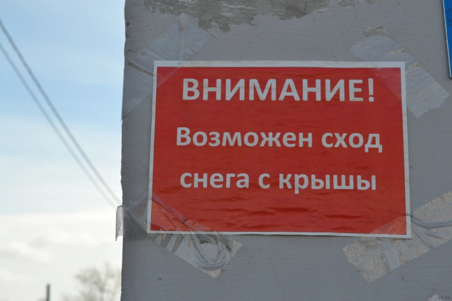 Покажите язык: в Казахстане изменят 13 законов для более грамотных текстов на билбордах 