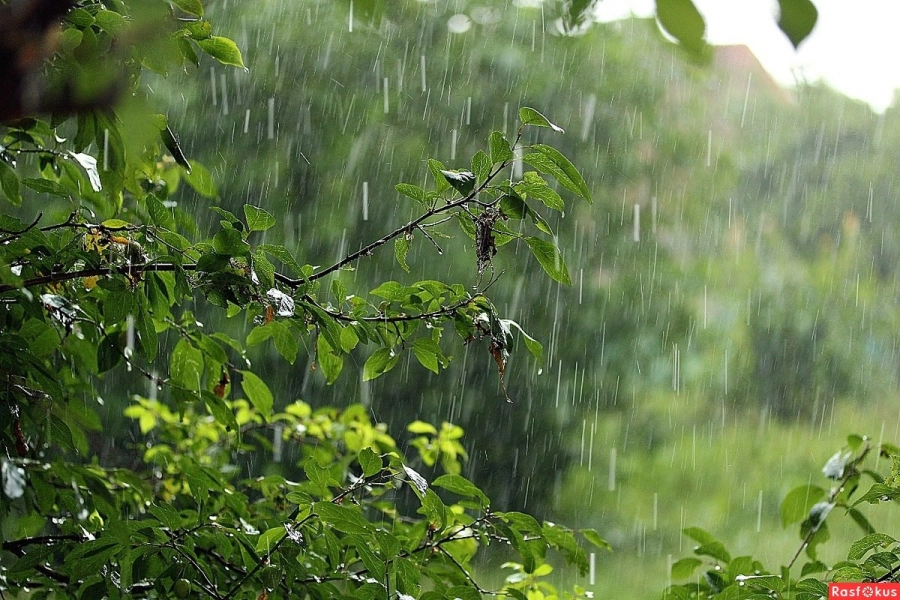 Синоптики Казахстана прогнозировали теплые летние дожди в ближайшие дни 