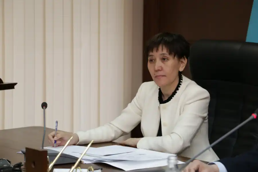 Токаев назначил бывшего министра помощником  